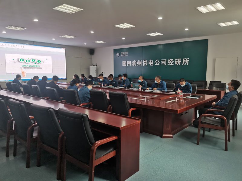 山東永安美、國網(wǎng)濱州供電公司經(jīng)研所電力工程技術(shù)交流會