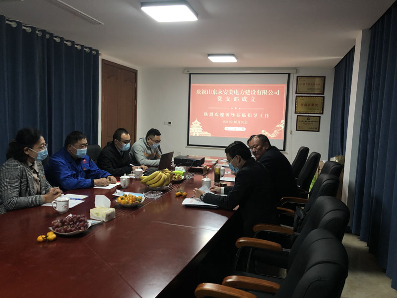 熱烈慶祝山東永安美電力科技有限公司黨支部成立